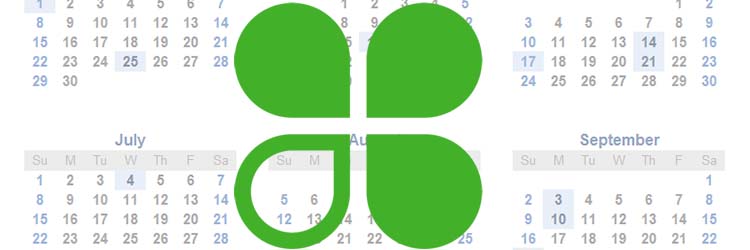 How to Choose the Right Clover Monthly Software Plan